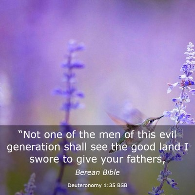 Picture 03 - Deuteronomy 1:35 BSB - “Not one of the men of this evil generation - Bible Verse Picture