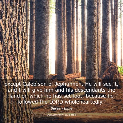 Picture 03 - Deuteronomy 1:36 BSB - except Caleb son of Jephunneh. He will see it, - Bible Verse Picture
