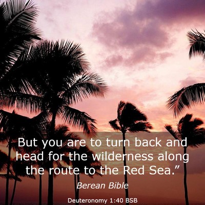Picture 03 - Deuteronomy 1:40 BSB - But you are to turn back and head for the - Bible Verse Picture