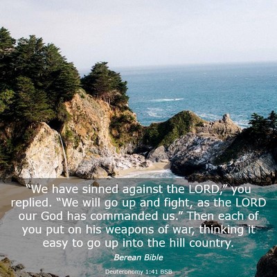 Picture 03 - Deuteronomy 1:41 BSB - “We have sinned against the LORD,” you - Bible Verse Picture