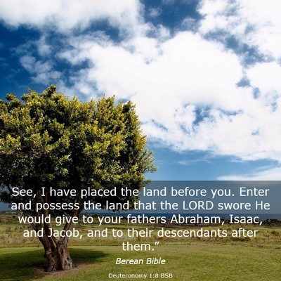 Picture 03 - Deuteronomy 1:8 BSB - See, I have placed the land before you. Enter and - Bible Verse Picture