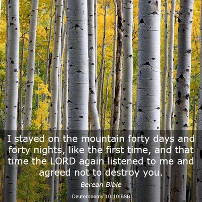 Picture 03 - Deuteronomy 10:10 BSB - I stayed on the mountain forty days and forty - Bible Verse Picture