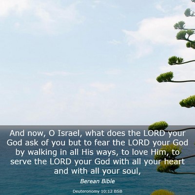 Picture 03 - Deuteronomy 10:12 BSB - And now, O Israel, what does the LORD your God - Bible Verse Picture