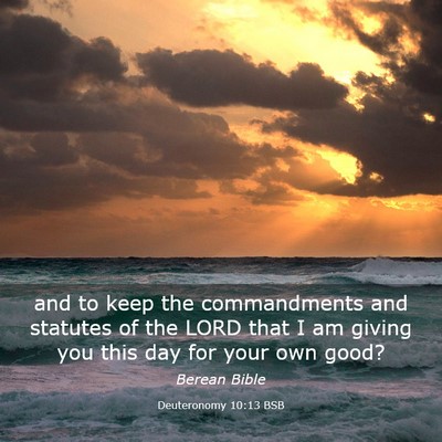 Picture 03 - Deuteronomy 10:13 BSB - and to keep the commandments and statutes of the - Bible Verse Picture