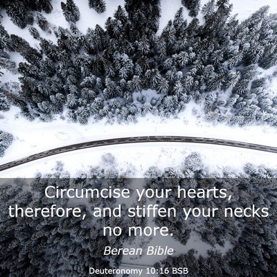 Picture 03 - Deuteronomy 10:16 BSB - Circumcise your hearts, therefore, and stiffen - Bible Verse Picture