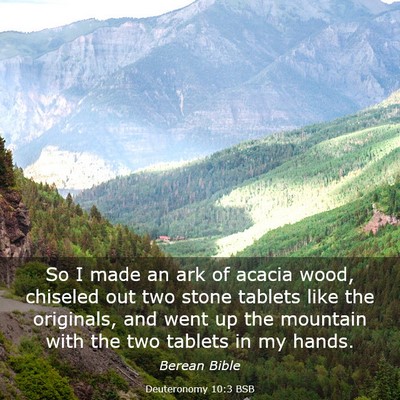 Picture 03 - Deuteronomy 10:3 BSB - So I made an ark of acacia wood, chiseled out two - Bible Verse Picture