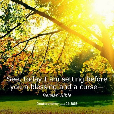 Picture 03 - Deuteronomy 11:26 BSB - See, today I am setting before you a blessing and - Bible Verse Picture