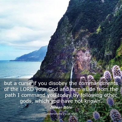 Picture 03 - Deuteronomy 11:28 BSB - but a curse if you disobey the commandments of - Bible Verse Picture