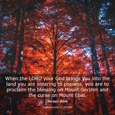 Picture 03 - Deuteronomy 11:29 BSB - When the LORD your God brings you into the land - Bible Verse Picture
