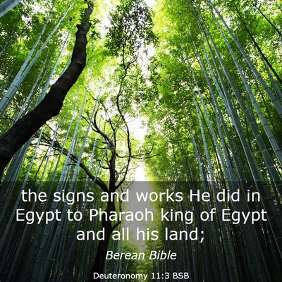 Picture 03 - Deuteronomy 11:3 BSB - the signs and works He did in Egypt to Pharaoh - Bible Verse Picture
