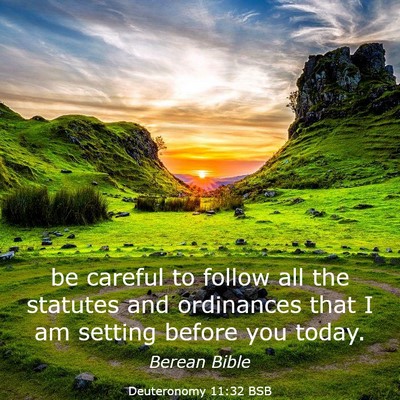 Picture 03 - Deuteronomy 11:32 BSB - be careful to follow all the statutes and - Bible Verse Picture
