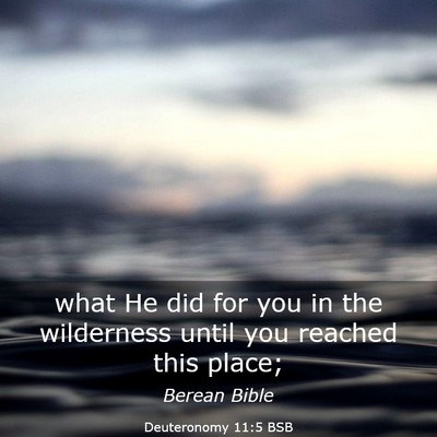 Picture 03 - Deuteronomy 11:5 BSB - what He did for you in the wilderness until you - Bible Verse Picture