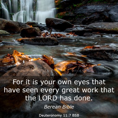 Picture 03 - Deuteronomy 11:7 BSB - For it is your own eyes that have seen every - Bible Verse Picture