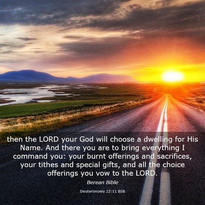Picture 03 - Deuteronomy 12:11 BSB - then the LORD your God will choose a dwelling for - Bible Verse Picture