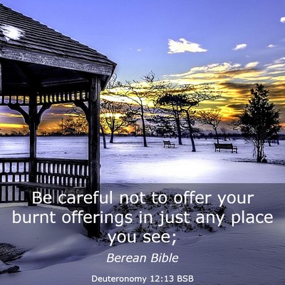 Picture 03 - Deuteronomy 12:13 BSB - Be careful not to offer your burnt offerings in - Bible Verse Picture