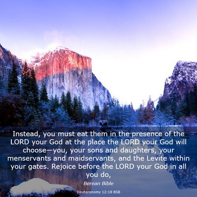 Picture 03 - Deuteronomy 12:18 BSB - Instead, you must eat them in the presence of the - Bible Verse Picture