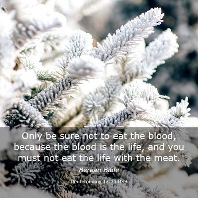 Picture 03 - Deuteronomy 12:23 BSB - Only be sure not to eat the blood, because the - Bible Verse Picture
