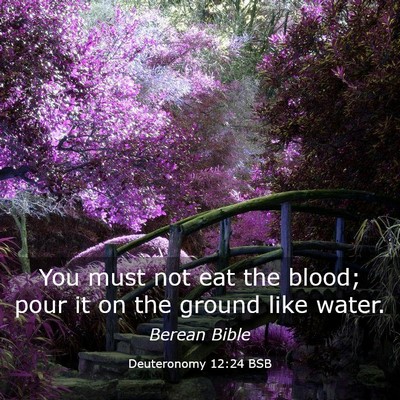Picture 03 - Deuteronomy 12:24 BSB - You must not eat the blood; pour it on the ground - Bible Verse Picture