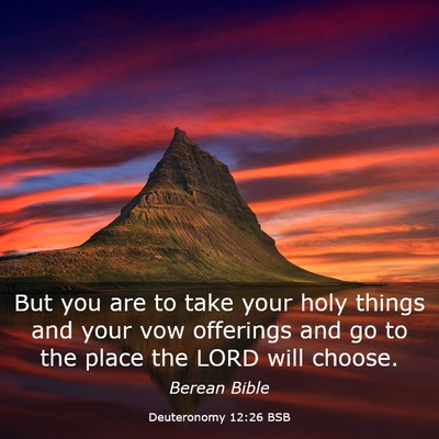 Picture 03 - Deuteronomy 12:26 BSB - But you are to take your holy things and your vow - Bible Verse Picture