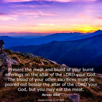 Picture 03 - Deuteronomy 12:27 BSB - Present the meat and blood of your burnt - Bible Verse Picture