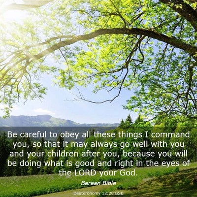 Picture 03 - Deuteronomy 12:28 BSB - Be careful to obey all these things I command - Bible Verse Picture