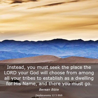 Picture 03 - Deuteronomy 12:5 BSB - Instead, you must seek the place the LORD your - Bible Verse Picture
