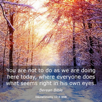 Picture 03 - Deuteronomy 12:8 BSB - You are not to do as we are doing here today, - Bible Verse Picture