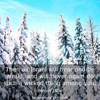 Picture 03 - Deuteronomy 13:11 BSB - Then all Israel will hear and be afraid, and will - Bible Verse Picture