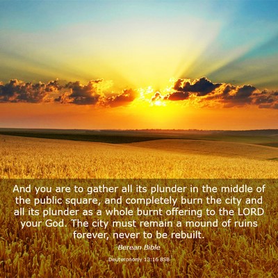Picture 03 - Deuteronomy 13:16 BSB - And you are to gather all its plunder in the - Bible Verse Picture