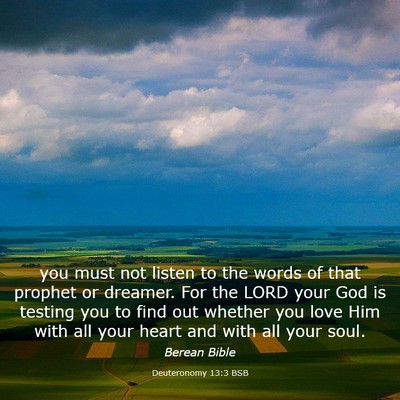 Picture 03 - Deuteronomy 13:3 BSB - you must not listen to the words of that prophet - Bible Verse Picture