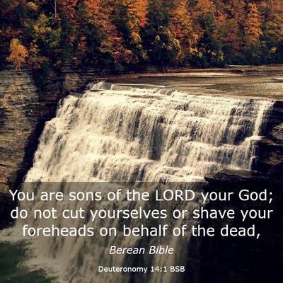 Picture 03 - Deuteronomy 14:1 BSB - You are sons of the LORD your God; do not cut - Bible Verse Picture
