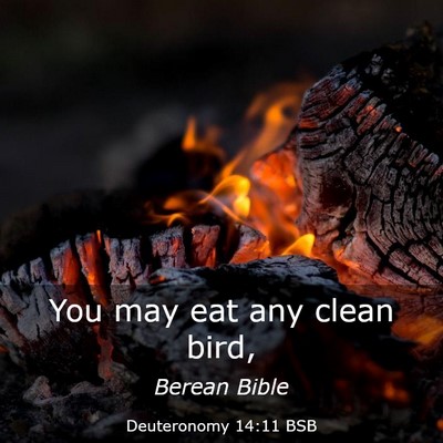 Picture 03 - Deuteronomy 14:11 BSB - You may eat any clean - Bible Verse Picture