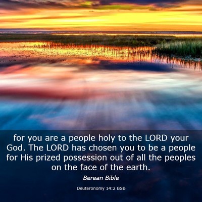 Picture 03 - Deuteronomy 14:2 BSB - for you are a people holy to the LORD your God. - Bible Verse Picture