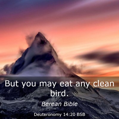 Picture 03 - Deuteronomy 14:20 BSB - But you may eat any clean - Bible Verse Picture