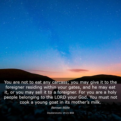 Picture 03 - Deuteronomy 14:21 BSB - You are not to eat any carcass; you may give it - Bible Verse Picture