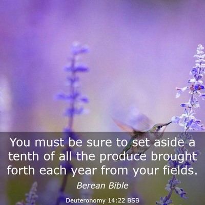 Picture 03 - Deuteronomy 14:22 BSB - You must be sure to set aside a tenth of all the - Bible Verse Picture