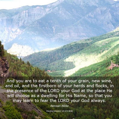 Picture 03 - Deuteronomy 14:23 BSB - And you are to eat a tenth of your grain, new - Bible Verse Picture