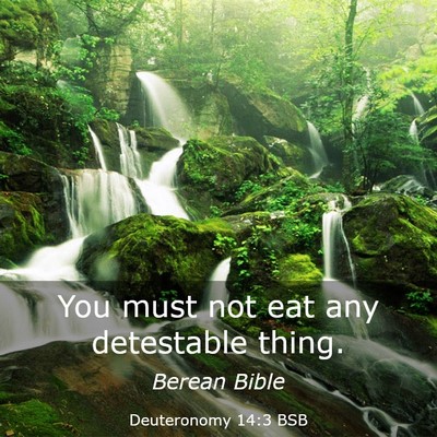 Picture 03 - Deuteronomy 14:3 BSB - You must not eat any detestable - Bible Verse Picture