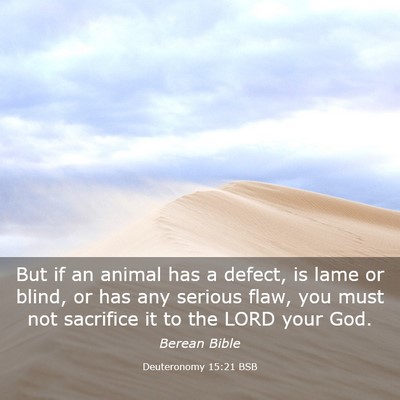 Picture 03 - Deuteronomy 15:21 BSB - But if an animal has a defect, is lame or blind, - Bible Verse Picture
