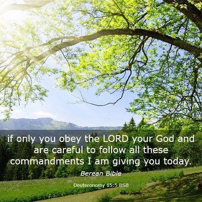 Picture 03 - Deuteronomy 15:5 BSB - if only you obey the LORD your God and are - Bible Verse Picture
