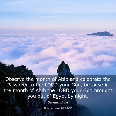 Picture 03 - Deuteronomy 16:1 BSB - Observe the month of Abib and celebrate the - Bible Verse Picture