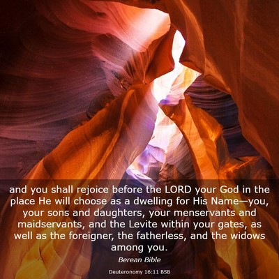 Picture 03 - Deuteronomy 16:11 BSB - and you shall rejoice before the LORD your God in - Bible Verse Picture