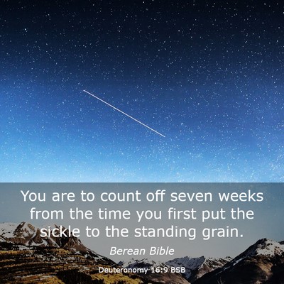 Picture 03 - Deuteronomy 16:9 BSB - You are to count off seven weeks from the time - Bible Verse Picture