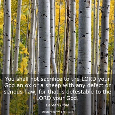 Picture 03 - Deuteronomy 17:1 BSB - You shall not sacrifice to the LORD your God an - Bible Verse Picture