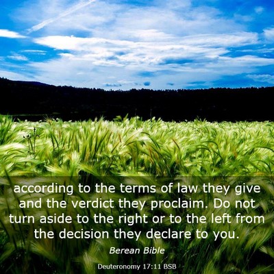 Picture 03 - Deuteronomy 17:11 BSB - according to the terms of law they give and the - Bible Verse Picture