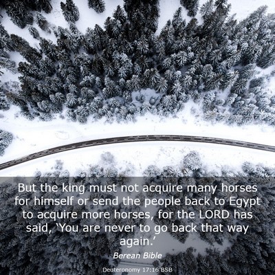 Picture 03 - Deuteronomy 17:16 BSB - But the king must not acquire many horses for - Bible Verse Picture