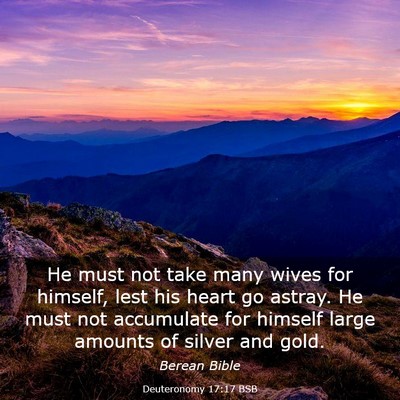 Picture 03 - Deuteronomy 17:17 BSB - He must not take many wives for himself, lest his - Bible Verse Picture