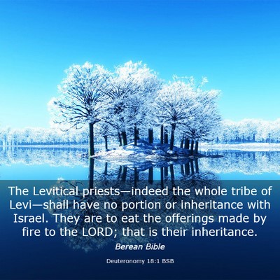 Picture 03 - Deuteronomy 18:1 BSB - The Levitical priests—indeed the whole tribe of - Bible Verse Picture