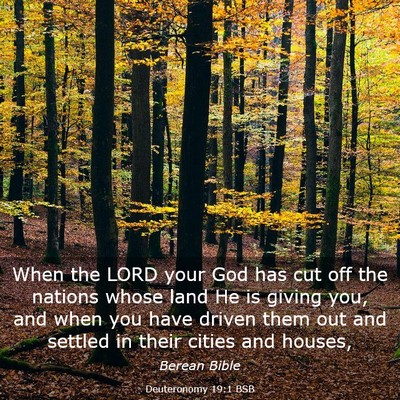Picture 03 - Deuteronomy 19:1 BSB - When the LORD your God has cut off the nations - Bible Verse Picture