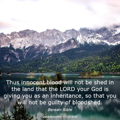 Picture 03 - Deuteronomy 19:10 BSB - Thus innocent blood will not be shed in the land - Bible Verse Picture